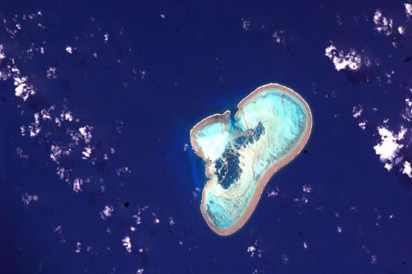 elisabeth-reef-near-lord-howe-island-tasman-sea_5618223425_o.jpg