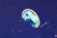 middleton-reef-near-lord-howe-island-tasman-sea_5618223359_o.jpg