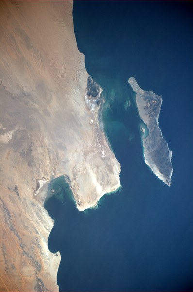 masirah-island-oman_5372751572_o.jpg