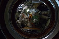 the-spacewalk-suits-also-need-to-rest-and-recharge_5389403923_o.jpg