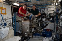 assembling-mares_35491610164_o.jpg