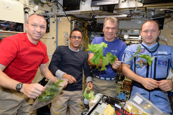 tasting-some-space-lettuce-for-dinner_24133177478_o.jpg